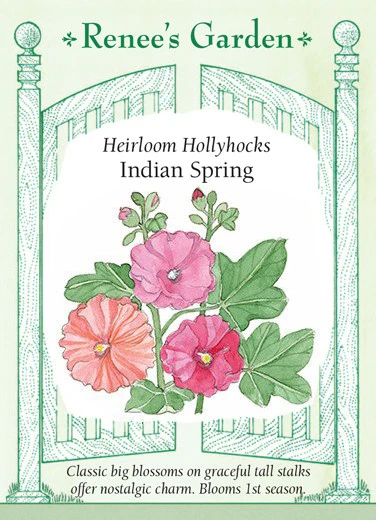 RG Hollyhocks Indian Spring